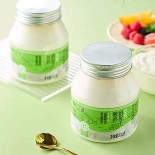 盒马草原奶皮子酸奶620g草原牧场发酵内蒙古乌兰察布奶源冷藏发货