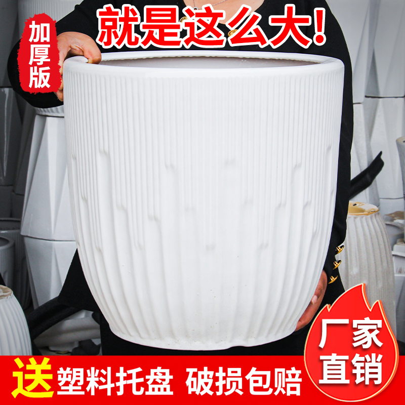 陶瓷大花盆白色简约大号家用客厅落地兰花虎皮兰天堂鸟绿植种树盆