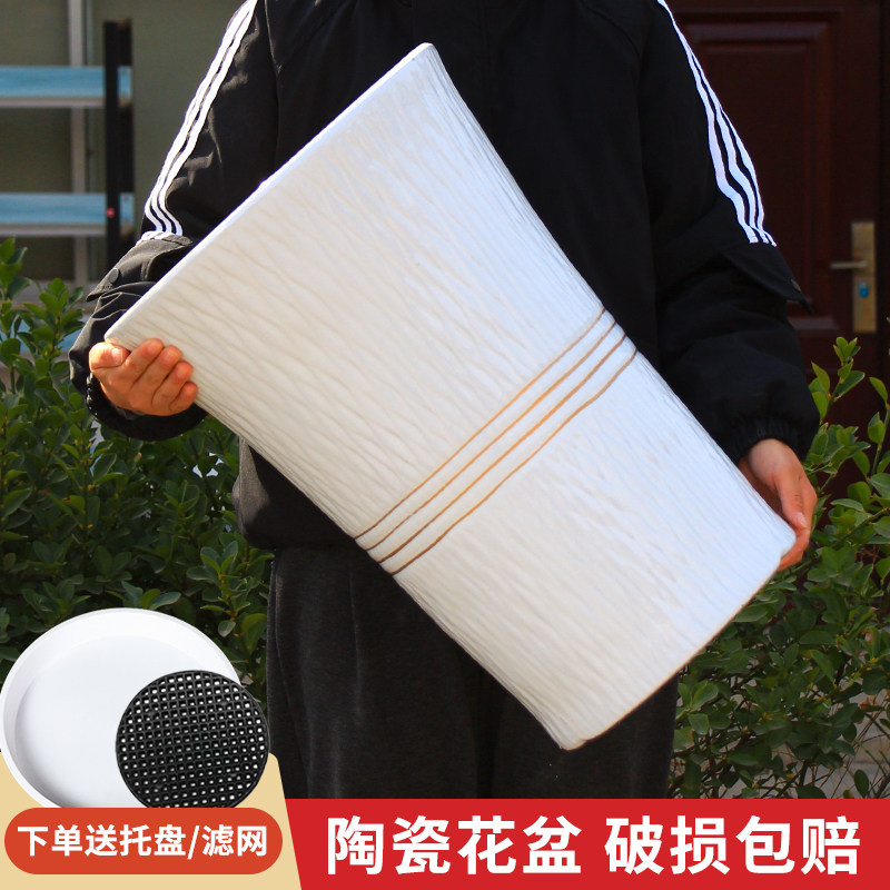 陶瓷花盆大气简洁网红爆款高档落地客厅家用庭院加厚种树