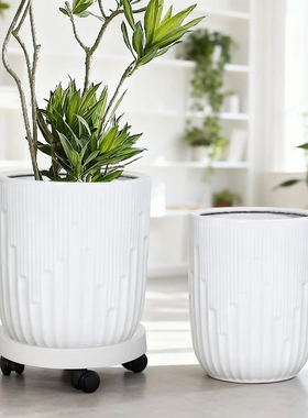 陶瓷大花盆白色简约大号家用客厅落地兰花虎皮兰天堂鸟绿植送托盘