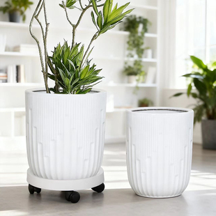 陶瓷大花盆白色简约大号家用客厅落地兰花虎皮兰天堂鸟绿植送托盘