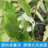 包邮 爬藤藤本植物卡扣环植物固定器月季 玫瑰铁线莲黄瓜蔓藤满25