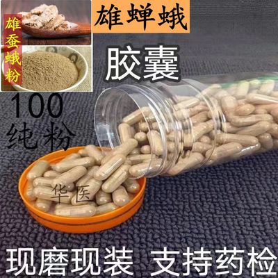 雄蚕蛾胶囊纯天然正品中药材蚕蛾粉代客灌装胶囊无添加正品包邮