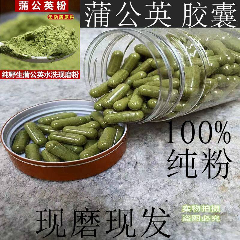 蒲公英胶囊超细粉纯蒲公英粉末新疆特级纯天然野生中药正品包邮