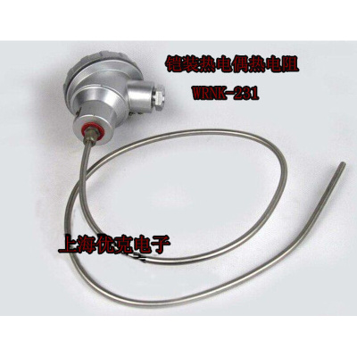 。铠装热电偶 热电阻 温度传感器 感温探头 WRNK-231 K T J E PT1