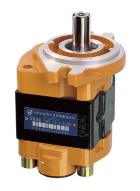 齿轮泵合肥集源CBHZA-F23-AFHL XPφL合肥集源穗意液压叉车油泵