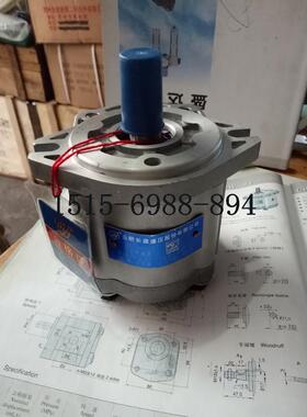 合肥赛源SY齿轮油泵CBW-F203-AFP ALP AFH ALH AFB ALB液压油泵