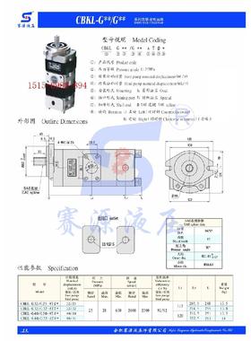 SY合肥赛源液压齿轮泵CBKL-G40/G20-ATΦL双联齿轮油泵 SAIYUAN