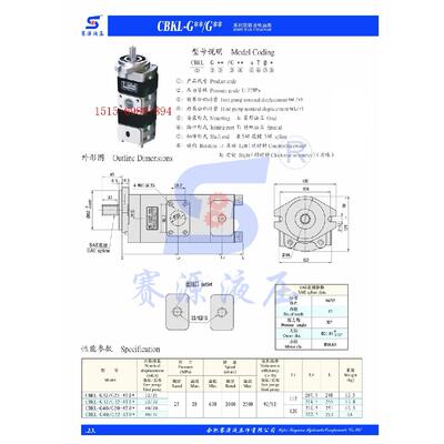 SY合肥赛源液压齿轮泵CBKL-G40/G20-ATΦL双联齿轮油泵 SAIYUAN