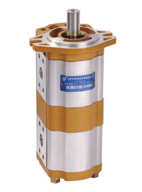 合肥长源 合肥信仁叉车液压油泵CBWLN-F3**/F1.0-CLPL双联齿轮泵