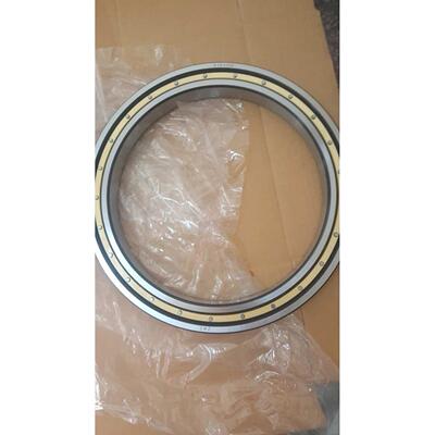 瓦房店轴承ZWZ61920 61921 61922 61924 61926 61928 61930 61932