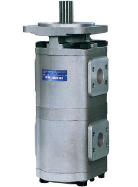 SAIYUAN 合肥赛源液压双联齿轮泵CBG2063/2040-BFPL BFHL BFP BFH