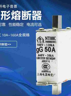 NT00C陶瓷熔断器NH00C RT16-00C 500V gL 160A 125A 100A 80A 63A