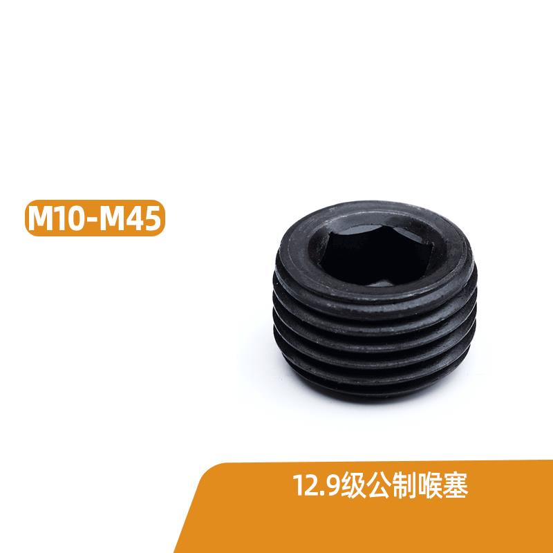 M10M12M14M16M18M20M22-M45 12.9级公制空心喉塞止付螺丝堵头螺钉