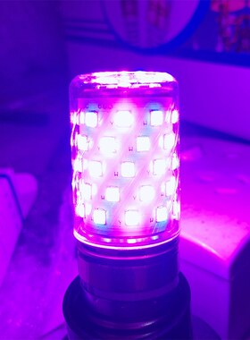 彩色灯泡大螺口粉光紫蓝