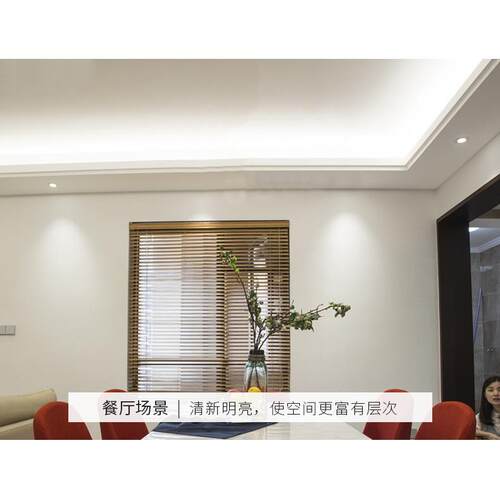 欧谱登灯带led超亮家用客厅吊顶装饰220V软灯条户外超亮防水霓虹
