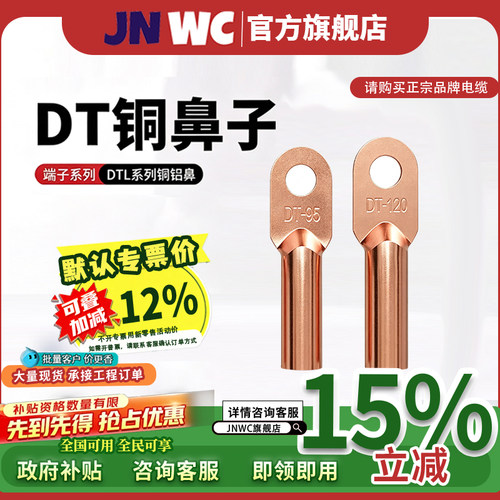 JNWC国标铜鼻子DT/2.5/4/6/10/16/35/50/70/95/120平方接线端子