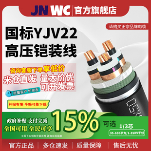 35KV千伏 630平方1 jnwc江南YJV22电缆国标高压铜芯铠装 电线3芯35