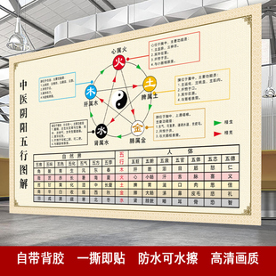 中医阴阳五行图解养生馆养生文化知识宣传图片海报挂图墙贴装饰画