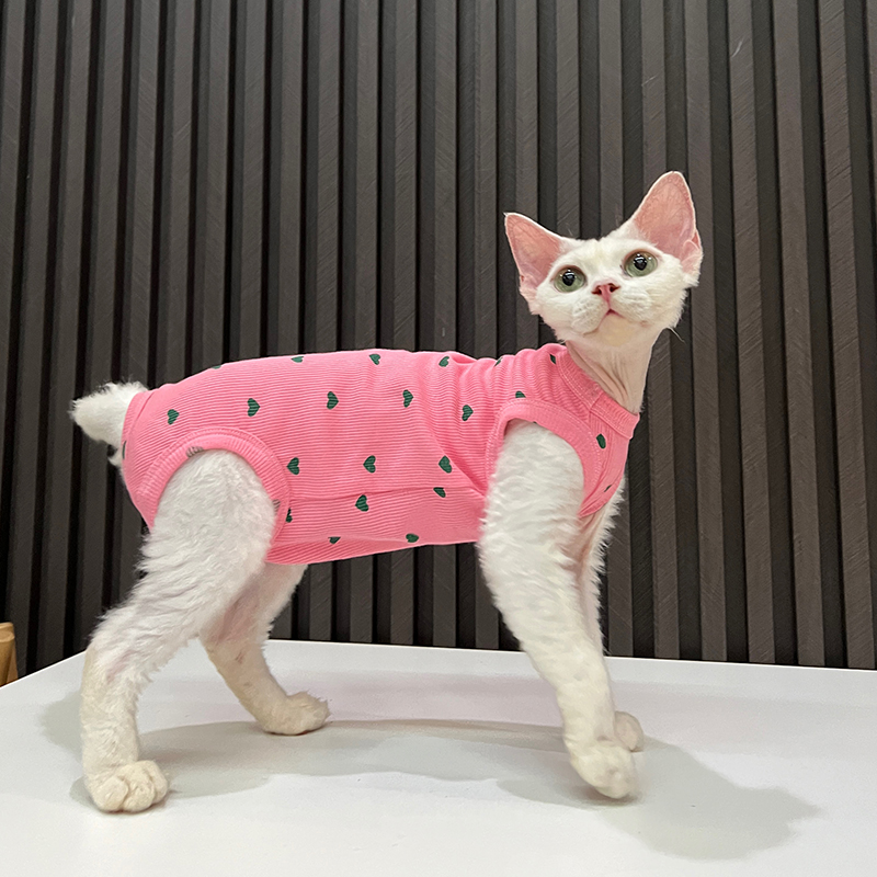 高弹纯棉护d肚四脚衣背心任发财无毛猫衣服斯芬克斯猫德文