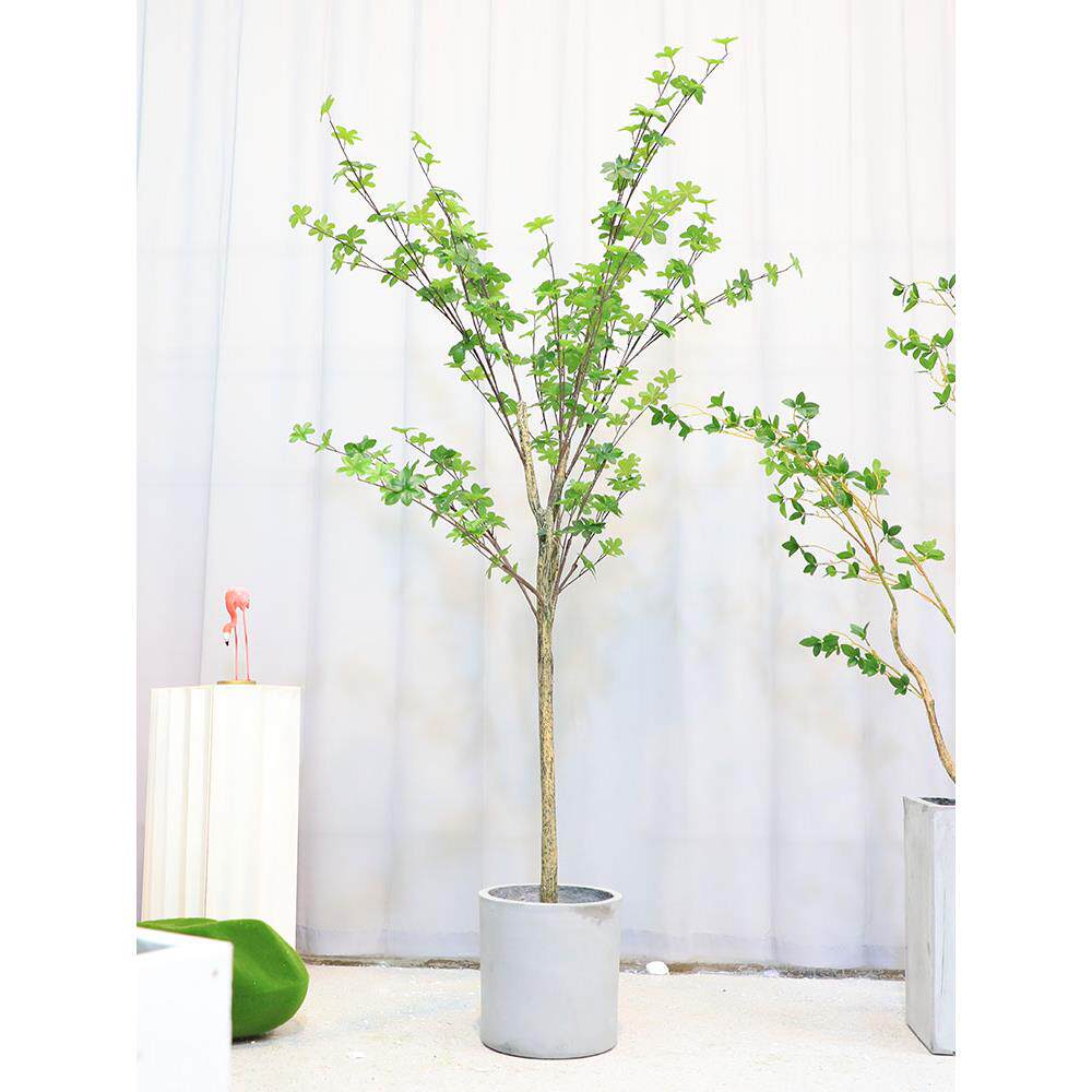 厂家2022新款流行仿真绿植日本吊钟树盆栽服装店装饰山茶树室内假