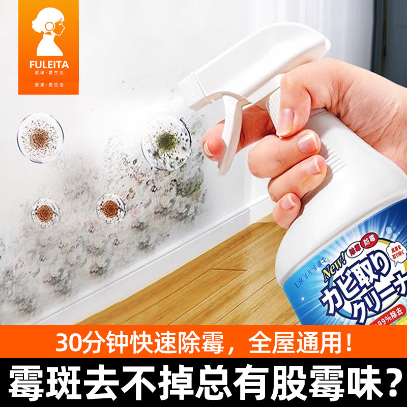 墙体除霉剂去霉斑霉菌清洁剂