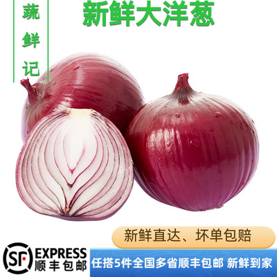 【蔬鲜记】新鲜红洋葱 1000g（2斤装）洋葱头