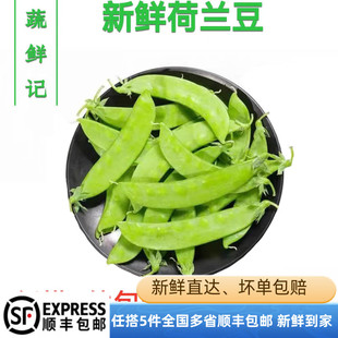 新鲜荷兰豆250g 甜豆青豆菜豌豆农家时令新鲜蔬菜 满5件包邮