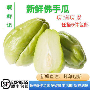 新鲜佛手瓜500克【任搭5份包邮】新鲜蔬菜 合掌 洋瓜 寿瓜 洋丝瓜