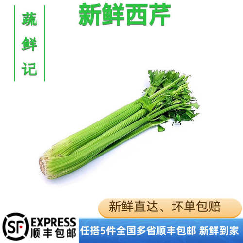 【蔬鲜记】西芹1500g新鲜蔬菜大芹菜洋芹菜 西餐配菜 榨汁蔬菜