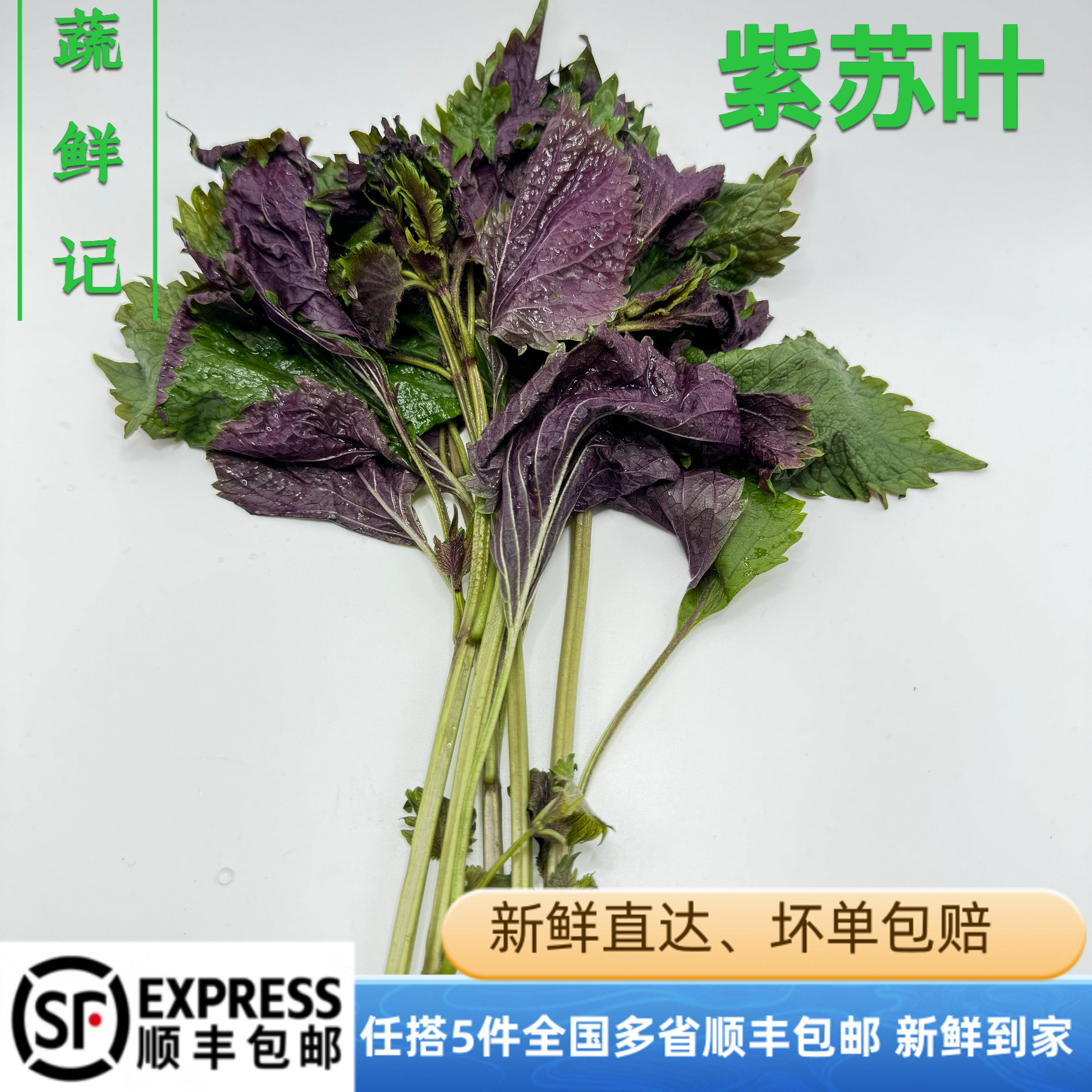 紫苏叶新鲜食用香料紫大叶带梗酒店鱼虾蟹海鲜去腥现摘500克/份,水产肉类/新鲜蔬果/熟食,蔬菜沙拉,淘宝优惠券,粉丝福利购,淘宝优惠卷