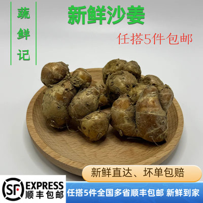 【蔬鲜记】新鲜沙姜500g生姜当季正宗化州沙姜老姜土仔姜食用姜