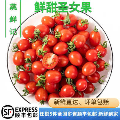 【蔬鲜记】新鲜圣女果500g 千禧小番茄樱桃迷你小番茄
