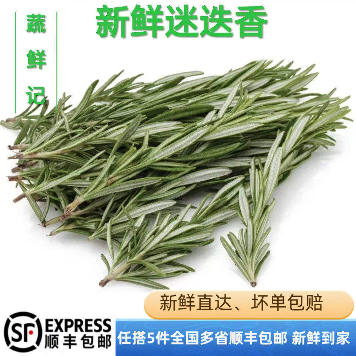 新鲜迷迭香250g  新鲜蔬菜马鞭草新鲜香料草酒店饭店西餐调料摆盘