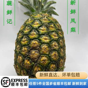 佳农菲律宾进口凤梨1个 削皮即食当季新鲜sw无眼菠萝顺丰包邮
