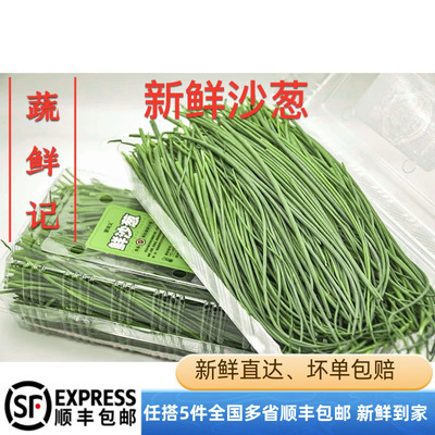 新鲜沙葱500g 沙漠小葱嫩葱 餐厅调味蔬菜