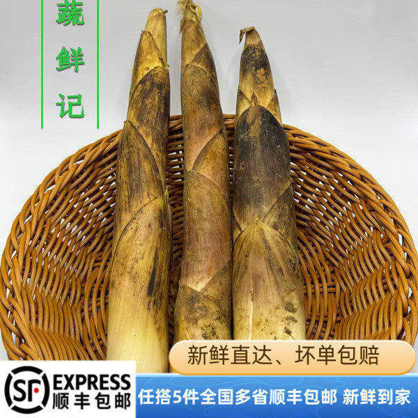 现挖新鲜竹笋春笋冬笋雷竹笋马鞭笋临安天目山野生当季食用蔬菜