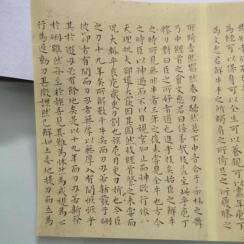 明书法王宠楷书精选南华真经真迹写经字画高清微喷仿古复制品装饰