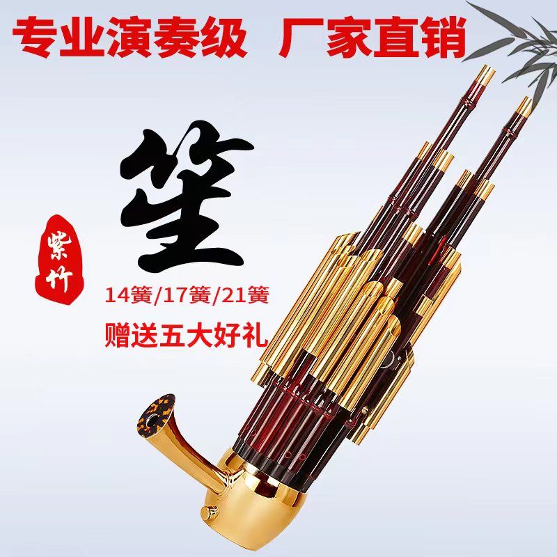 笙乐器14簧17簧2初学者专