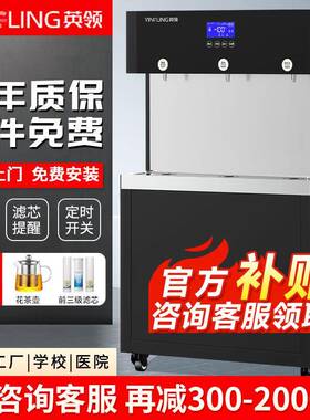 英领直饮水机商用净水器大型工厂学校用RO反渗透过滤饮水机净水机