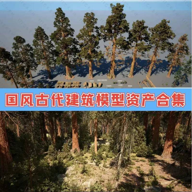 UE5虚幻4资源包次时代红杉树森林植物树木生物群落环境场景3D模型