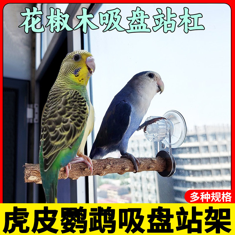 虎皮专用鹦鹉吸盘站架花椒木瓷砖窗户玻璃车载吸盘站杆墙面站棍鸟