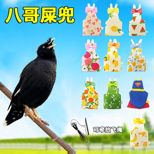 八哥专用小鸟屎兜尿不湿便兜尿垫粪便飞行服调节可清洗立体大容量