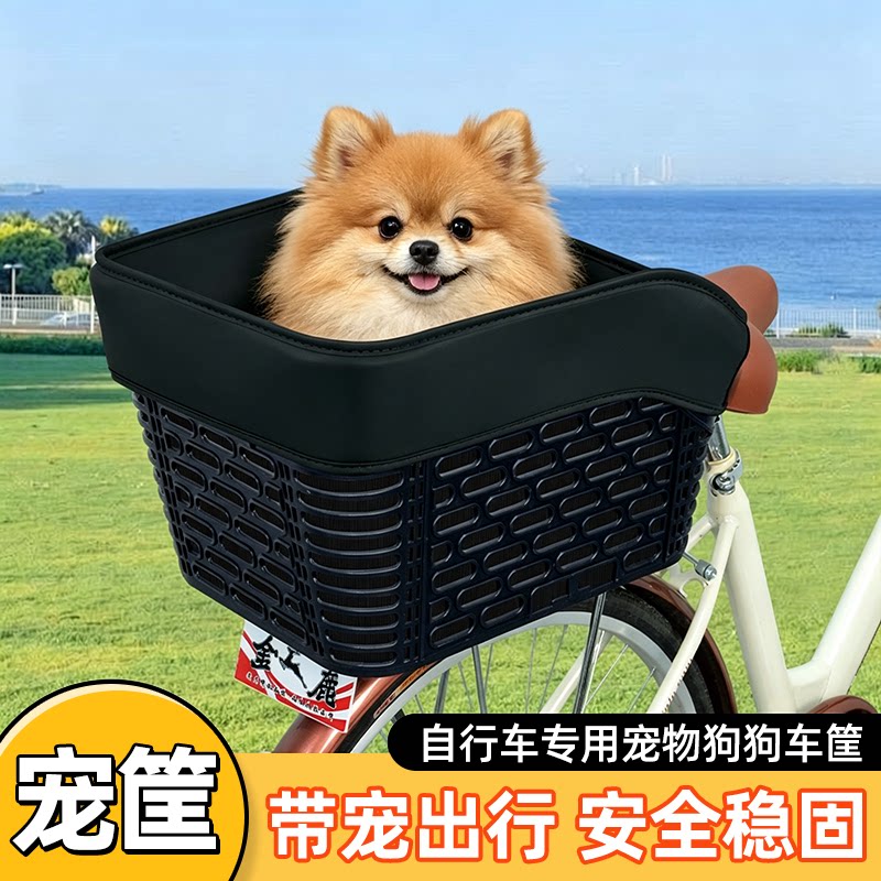 自行车专用加大后置车筐