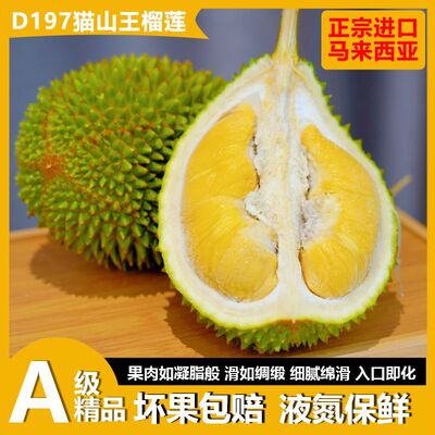 马来西亚猫山王液氮树熟整果特价
