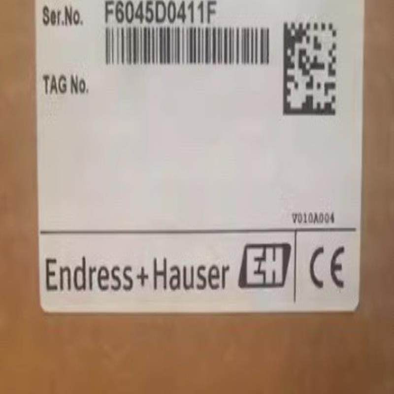 【议价】E+H控制器RN221N-B1