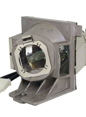 RLC-118投影机灯泡适用于原装优派PX706HD VS17266 投影仪灯泡带灯架