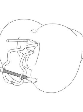 Hollow Metal Anal Dilator Huge Anal Plug Vaginal Speculum Cl