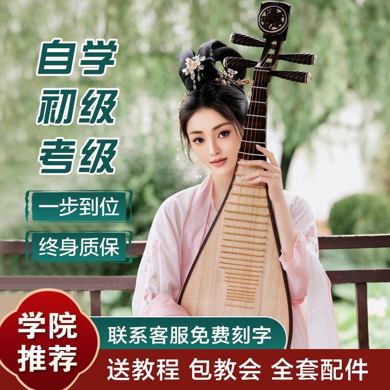 琵琶乐器初学者通用入门成人琵琶儿童民族乐器椿木花梨木鸡翅木琴