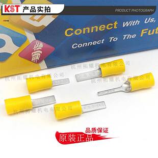 1U3DBVS5 子18片形绝缘端K.S端头LCEJXT认证 KSVT健和兴DB5